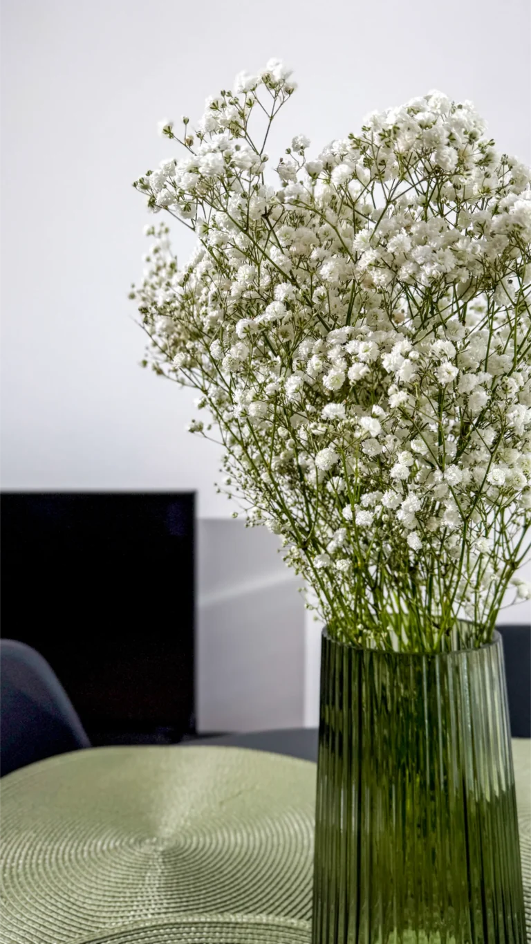 apartament-mickiewicza (1)