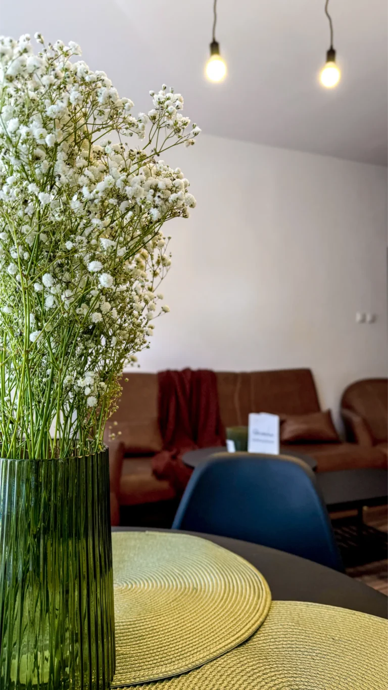 apartament-mickiewicza (2)