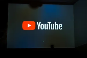 z widokiem na mniszek (13)