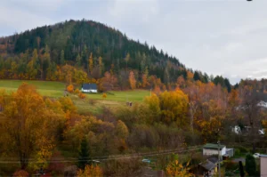 z widokiem na mniszek (4)