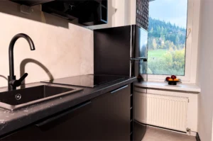 z widokiem na mniszek (8)