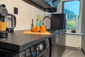 z widokiem na mniszek (9)